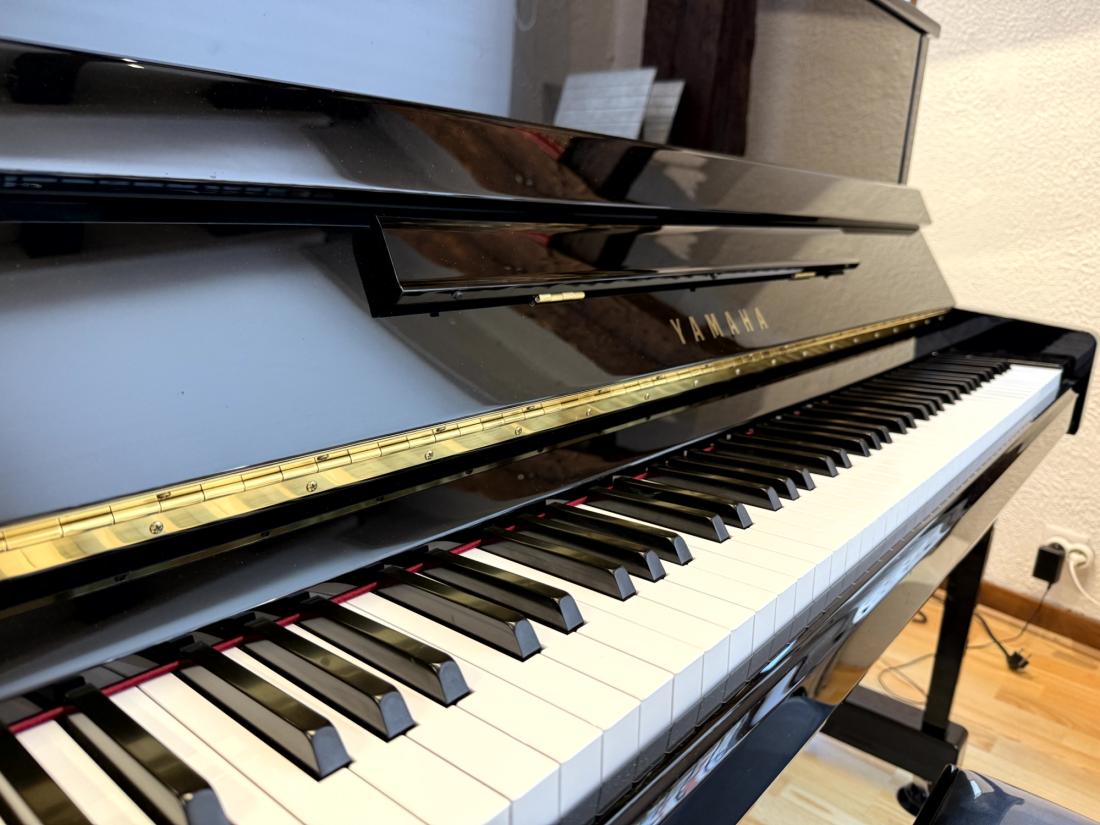 Yamaha B3 Silent — photographie 2